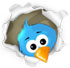 followus_twitterc
